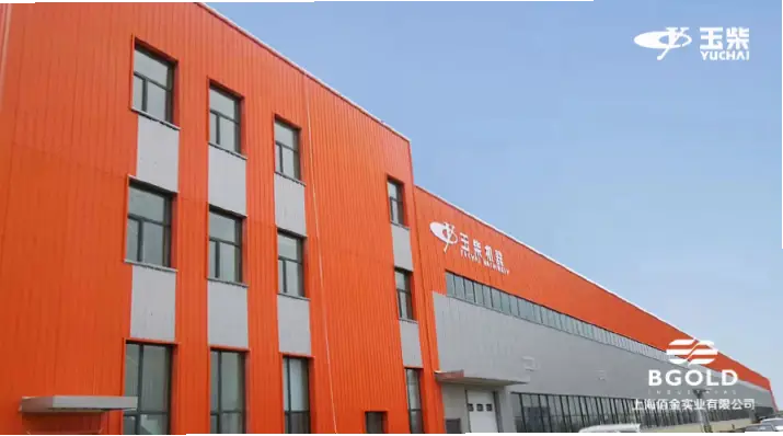 《放课后的体育课》第一季：从运动新手到活力达人必看指南
