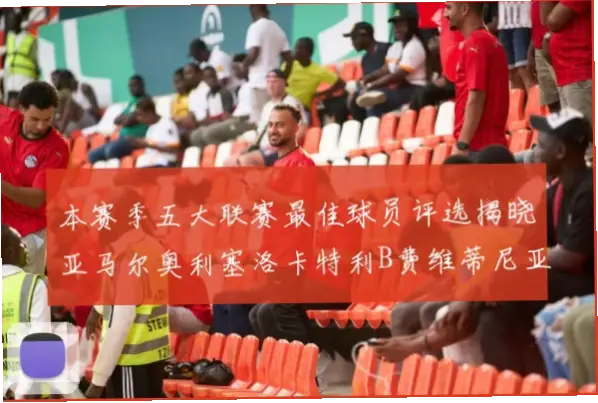 五大联赛赛季最佳球员是如何评选出来的？