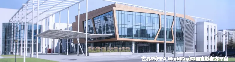 核心团队与专业资质